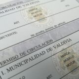 Dirección de tránsito de la Municipalidad de Valdivia continúa realizando trámites de permiso de circulación y licencias de conducir