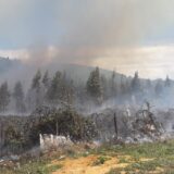 Llaman a la prevención de incendios forestales ante alerta por altas temperaturas